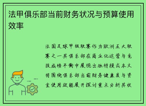 法甲俱乐部当前财务状况与预算使用效率