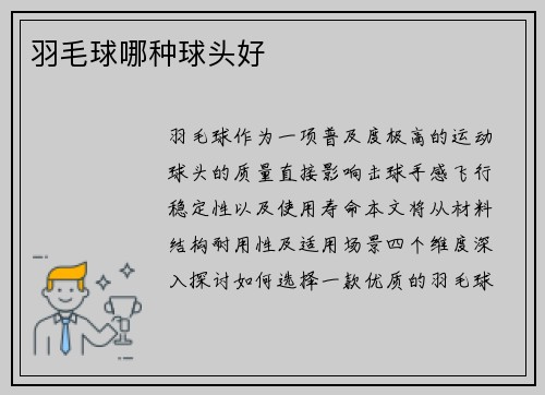 羽毛球哪种球头好
