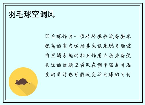 羽毛球空调风